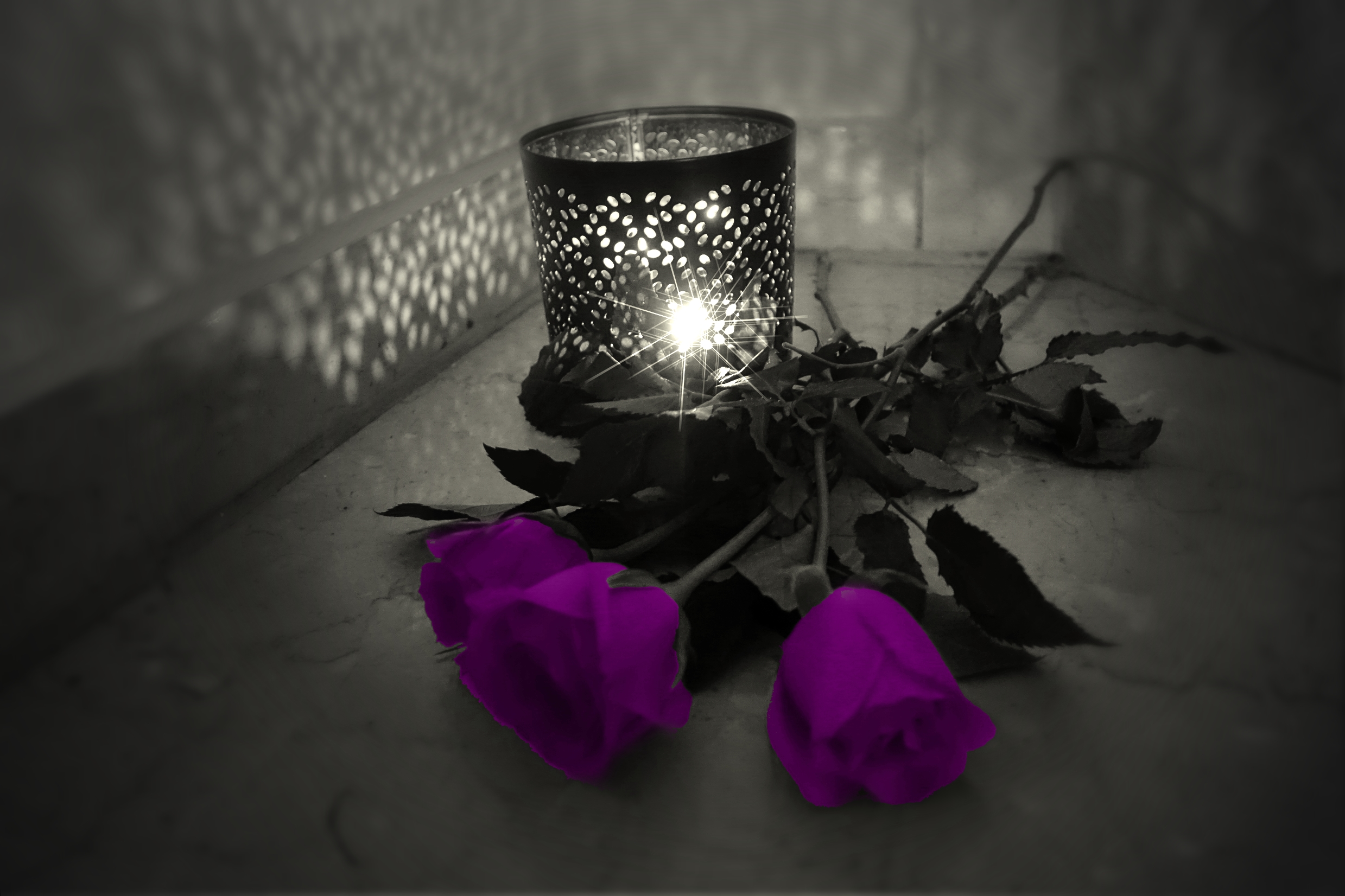 Kerze mit lila Rosen